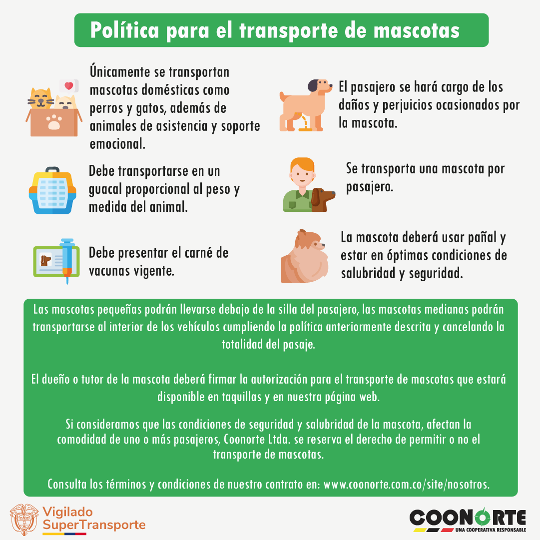 Imagen del Carrusel